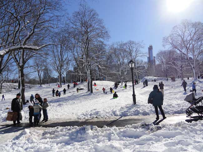  Central Park en hiver