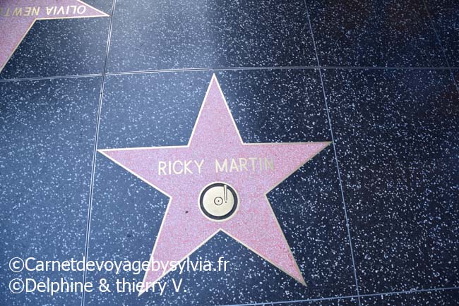 Hollywood Boulevard - Ricky Martin