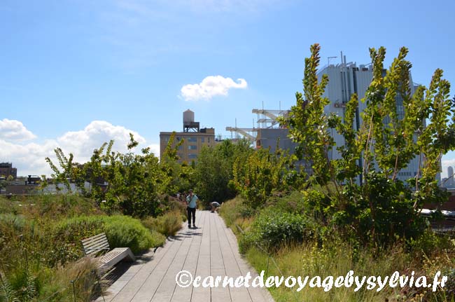 se promener sur la High Line