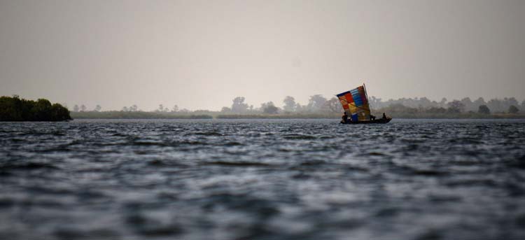 ©Anaïs Girad-fleuve Saloum au Sénégal-Anais Girard-Blanc