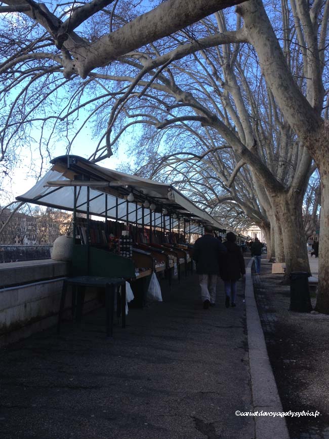 fleuristes Rome "Bouquiniste" romain