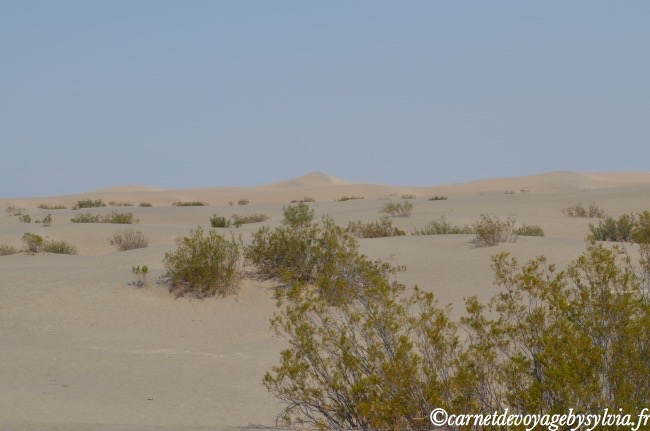 sand dunes