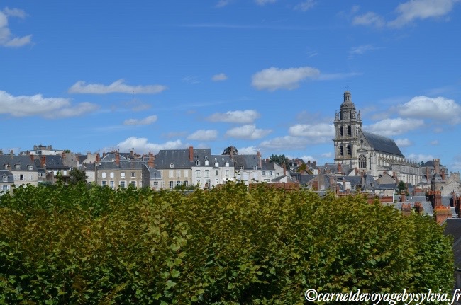 Vue sur Blois 