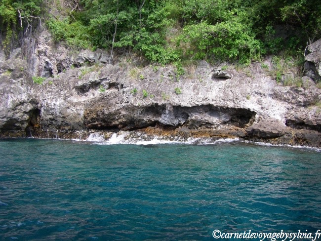 mer des caraïbes