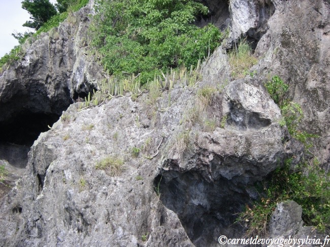 Rocher du Diamant