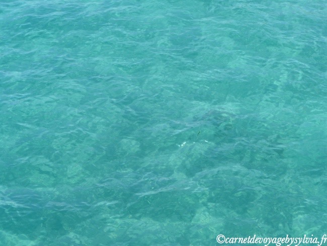 eau en Martinique