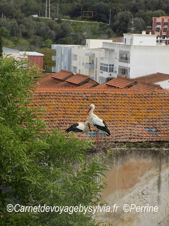 silves