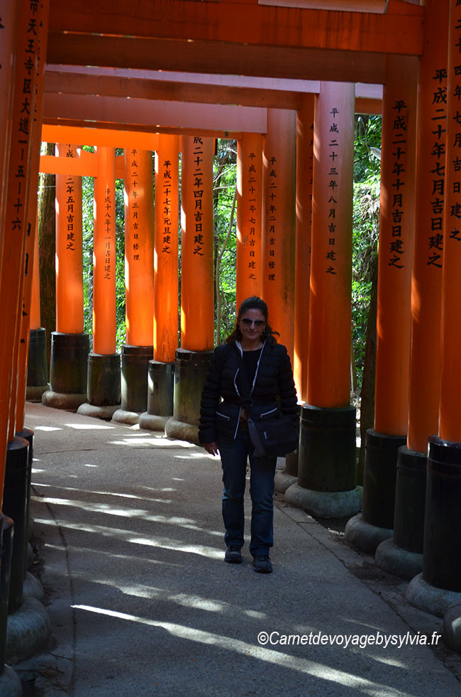 Torii à Fushimi Inari taisha